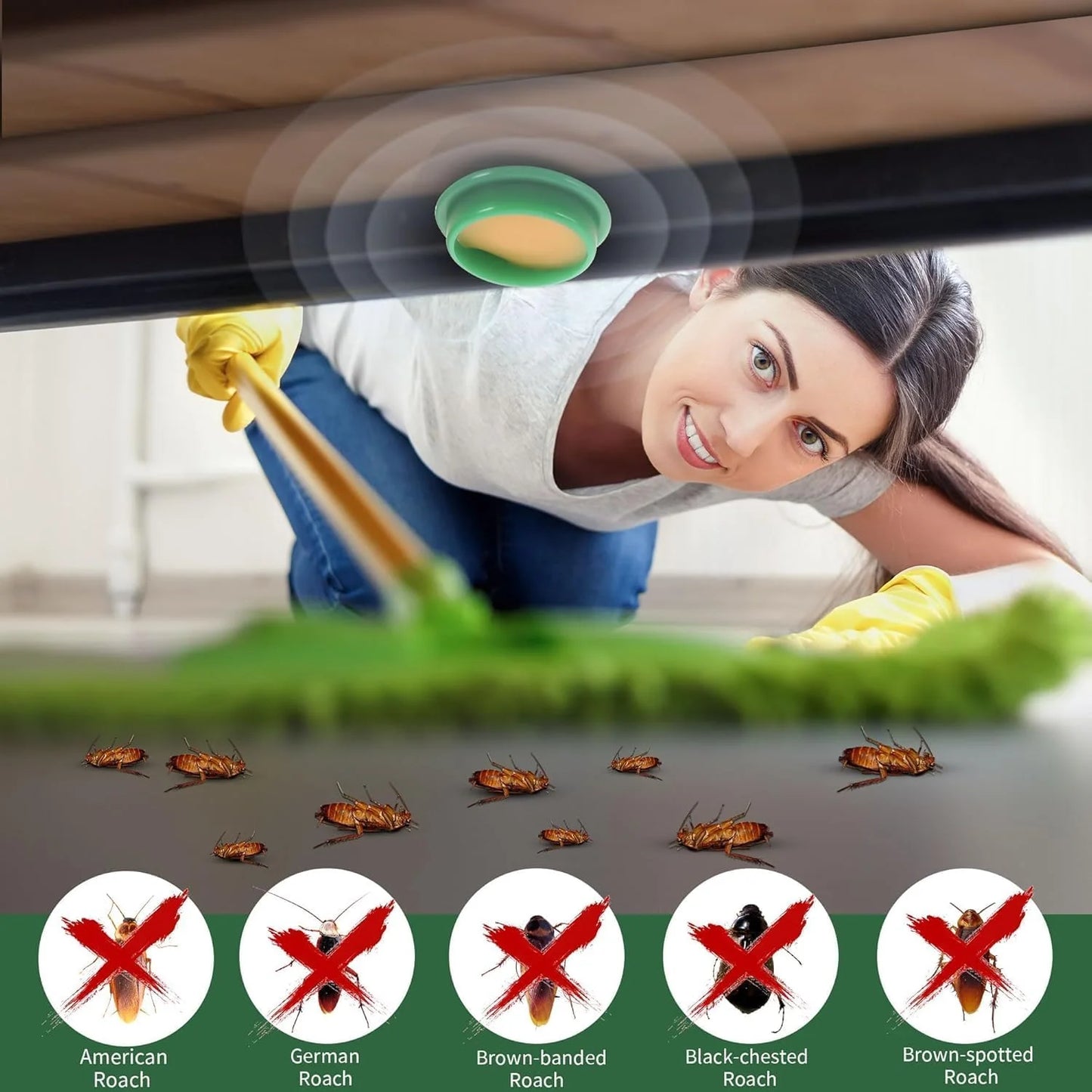 Cockroach Killer (Pack of 24pc)