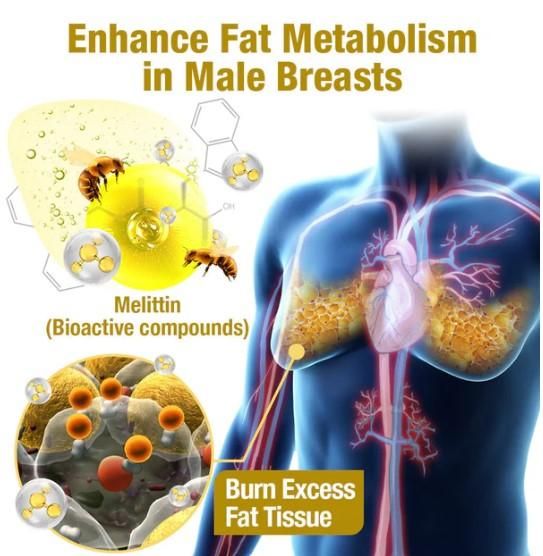 Bee venom  Heating Oil 15 ml (Pack of 2)